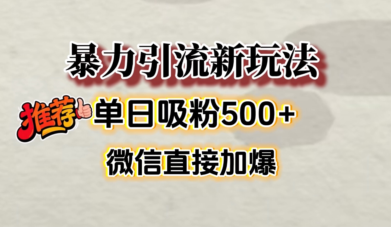 微信加爆的引流超级方法，单日吸粉500➕-91搞钱