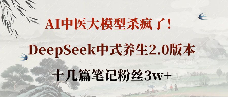 AI中医大模型杀疯了！DeepSeek中式养生2.0版本，十几篇笔记粉丝3w+-91搞钱