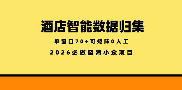 酒店智能数据归集,小众蓝海已经稳定半年之久,单窗口70+零成本矩阵开干【揭秘】-91搞钱