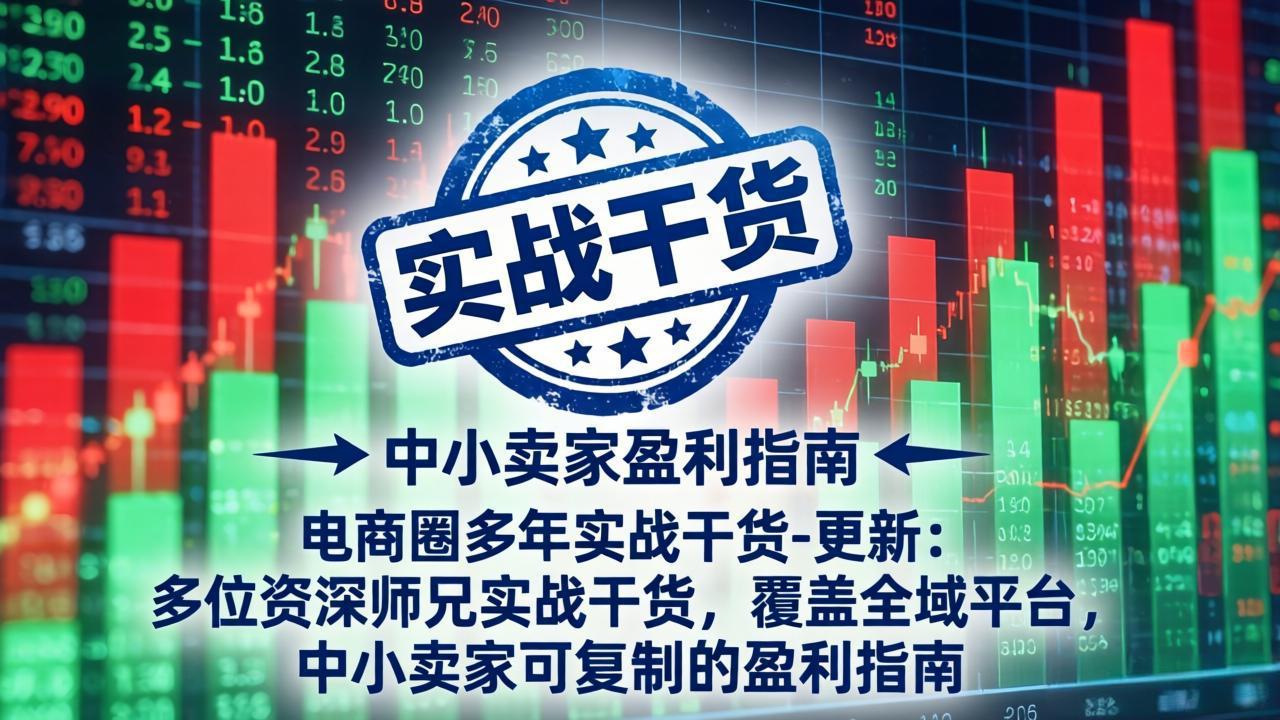 电商圈多年实战干货-更新4月：多位资深师兄实战干货，覆盖全域平台，中小卖家可复制的盈利指南-91搞钱