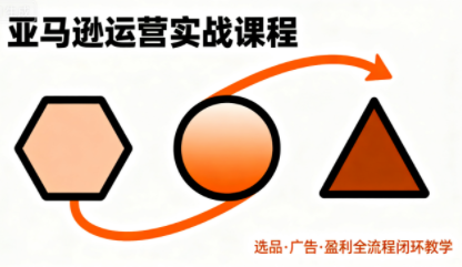 毕方电商·亚马逊全站会员课程(更新3月)-91搞钱