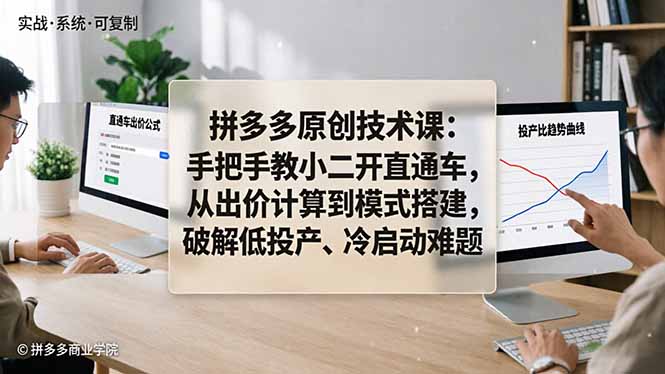 拼多多原创技术课：手把手教小二开直通车，从出价计算到模式搭建，破解低投产、冷启动难题-91搞钱