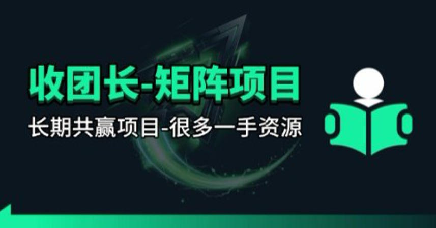 【团长合作】视频矩阵项目_招发手矩阵+剪辑师，共赢项目【揭秘】-91搞钱