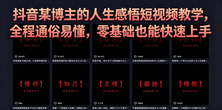 抖音某博主的灰太狼人生感悟短视频教学，全程通俗易懂，零基础也能快速上手-91搞钱