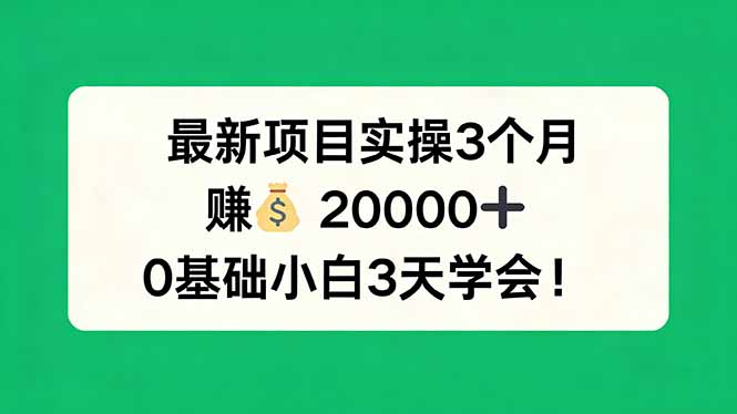 最新项目实操3个月，赚钱20000+，0基础小白3天学会！-91搞钱