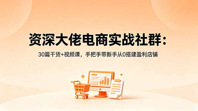 资深大佬电商实战社群：30篇干货+视频课，手把手带新手从0搭建盈利店铺-91搞钱