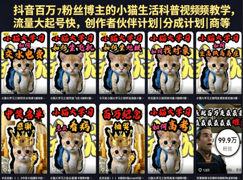 抖音百万粉丝博主的小猫生活科普视频教学，流量大起号快，创作者伙伴计划|分成计划|商单|收徒等-91搞钱