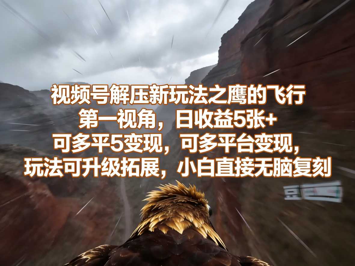 视频号解压新玩法之鹰的飞行第一视角，日收益5张+，可多平台变现，玩法可升级拓展，小白直接无脑复刻-91搞钱